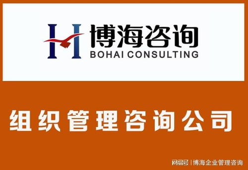 蘇州組織結(jié)構(gòu)優(yōu)化咨詢(xún)公司