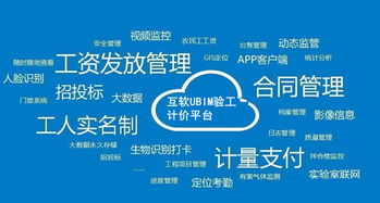 上?；ヂ?lián)網(wǎng)軟件集團 高端協(xié)同管理軟件與企業(yè)管理咨詢服務(wù)提供商